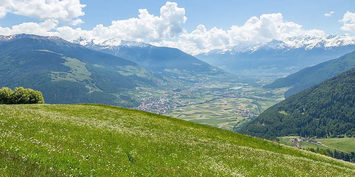 Watles im Sommer Watles im Sommer