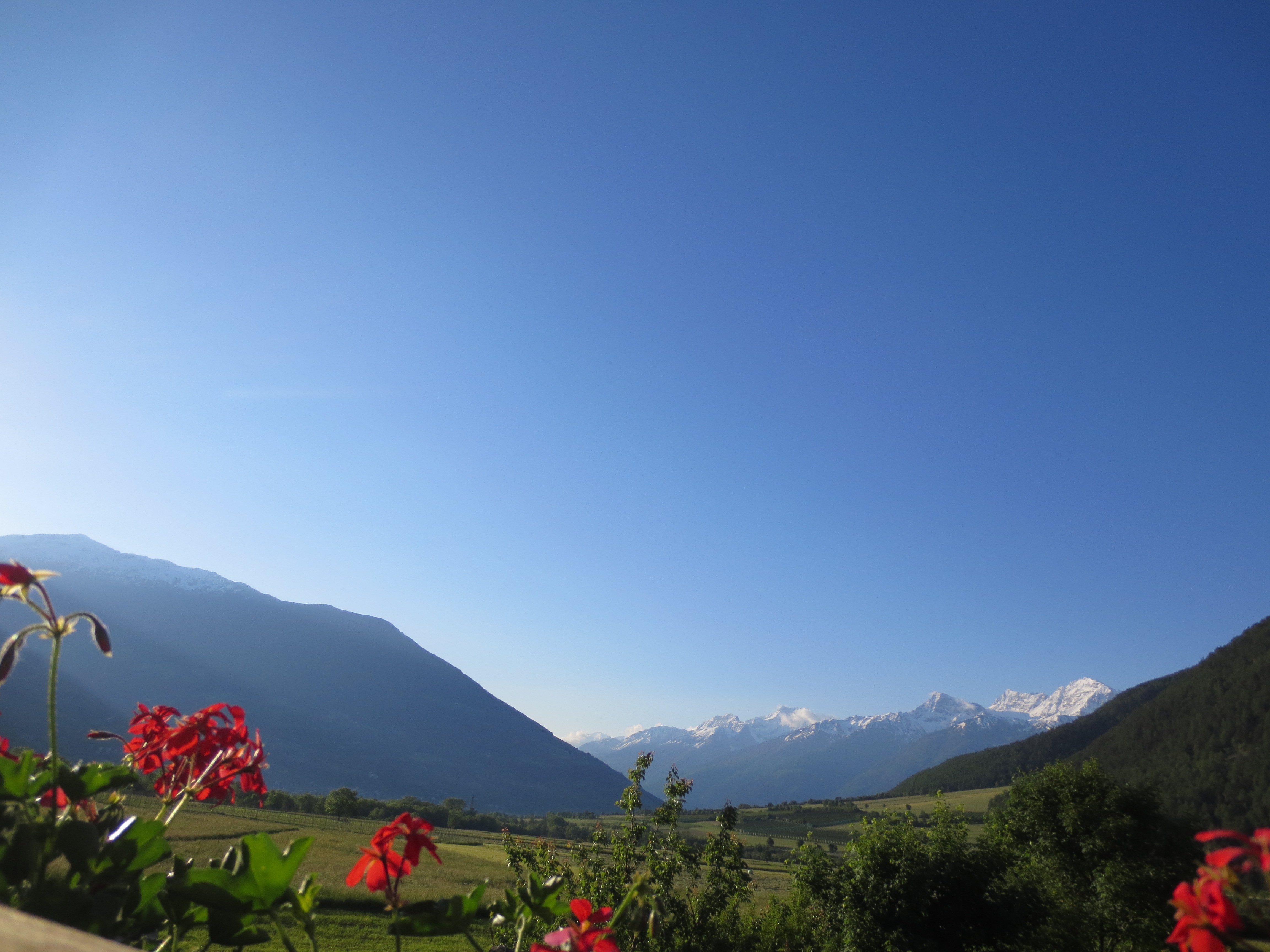 Ausblick vom Balkon Ausblick vom Balkon