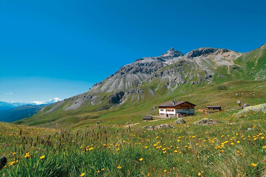 Sesvenna Hütte Sesvenna Hütte